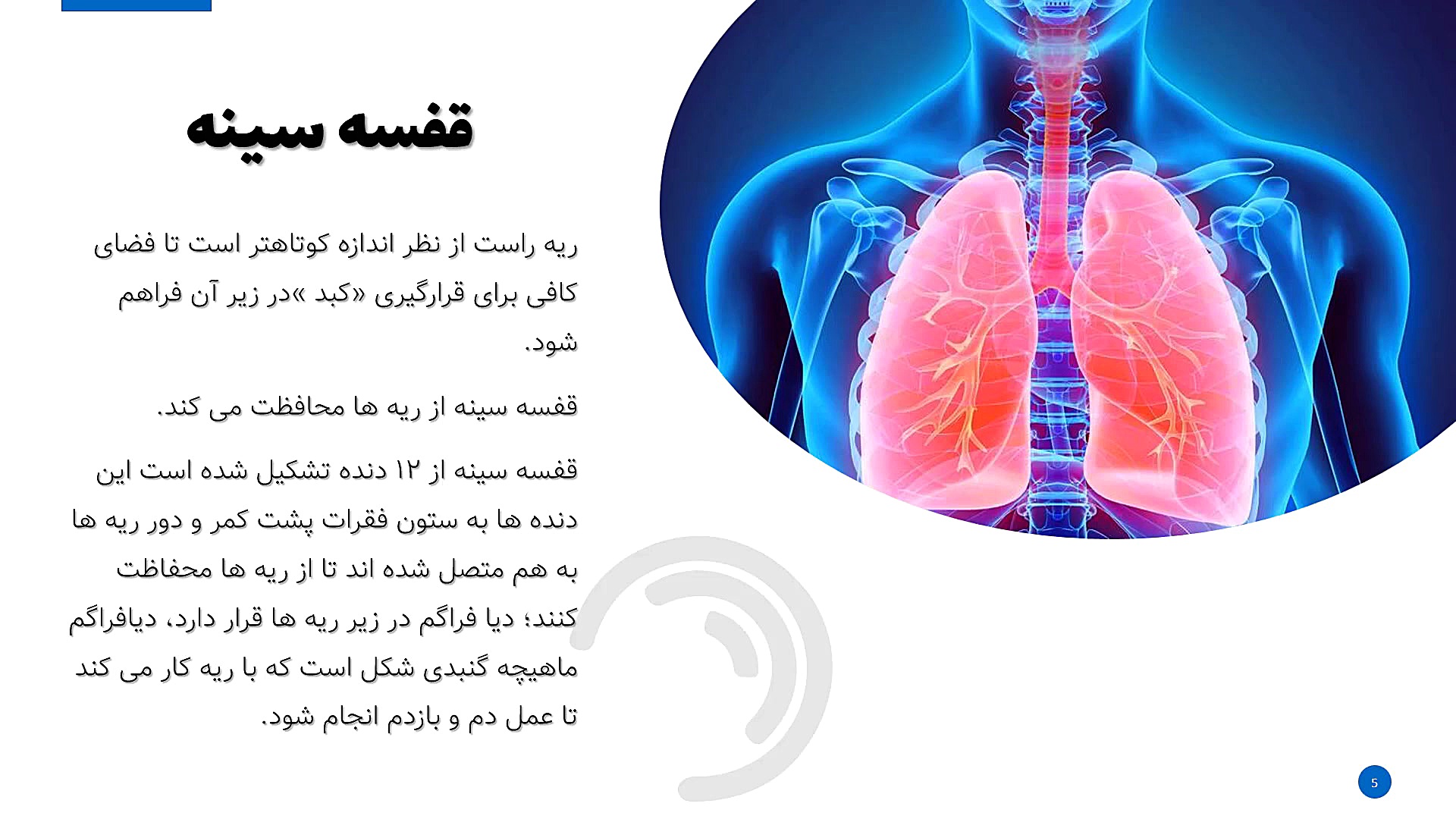 معرفی/ آناتومی دستگاه تنفسی/ پزشکی/ نمایشگاه طاها-جوانه/ 01-00 رفع چین و چروک