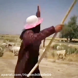 انشرلی واقعی