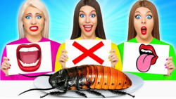 تفریحی و سرگرمی بانوان  چالش ه...