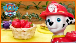 بازی با اسباب بازی سگ های نگهب...