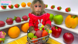 برنامه کودک بچه میمون  سوپرمار...