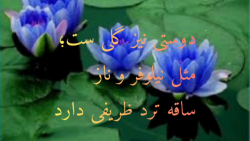 دکلمه شعر دوستی فریدون مشیری (...