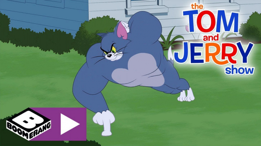 کارتون تم و جری / تام و جری / Tom The Gym Cat / انیمیشن جدید دیوید بکهام
