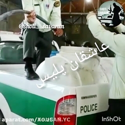 کشف چاه شراب  شوتی  پلیس  گیر...