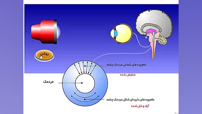 پایه پنجم | علوم | درس ششم| معرفی مردمک چشم زمان328ثانیه
