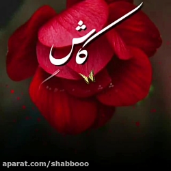 کلیپ متنی غمگین || کاش.....
