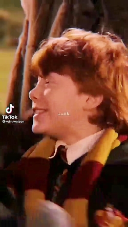 هری پاتر فکر نکنین دیگه پاتر ه...