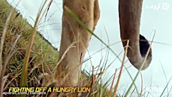 به نظرتون این کلیپها واقعی هست...