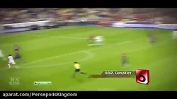 10تا از زیباترین گلها الکلاسیک...