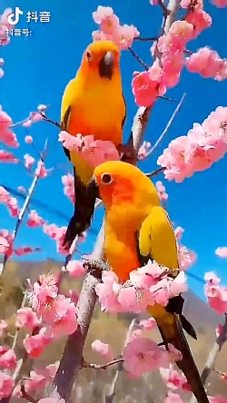 طبیعت  فوق العاده   زیبا