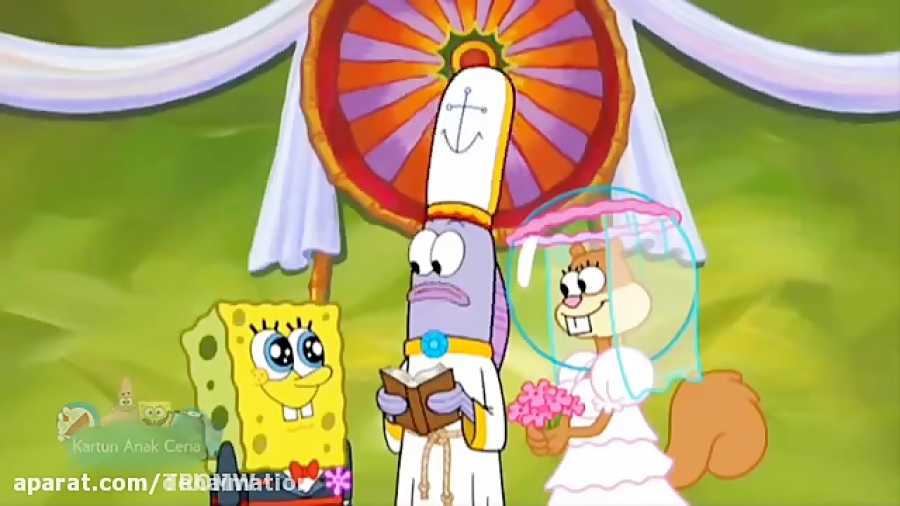 17 ویدیوی عروسی باب اسفنجی و س...