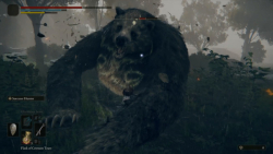 مبارزه با باس مخفی به نام خرس بزرگ (Giant Bear) در بازی Elden Ring