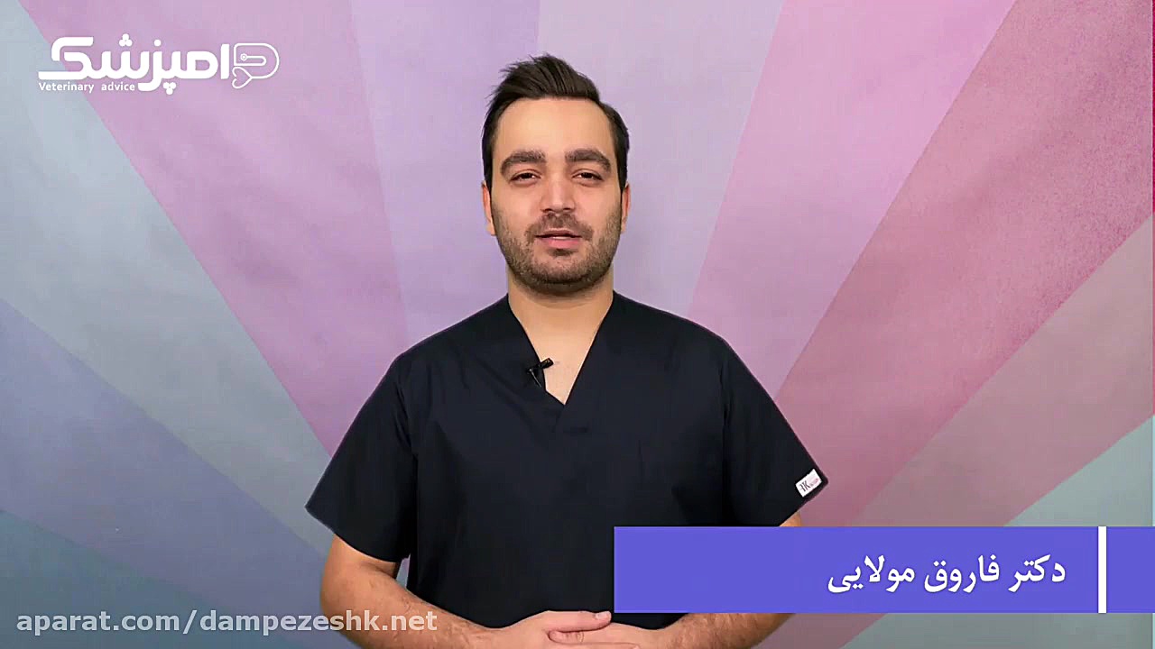 بیماری کوشینگ شلپ شلپ