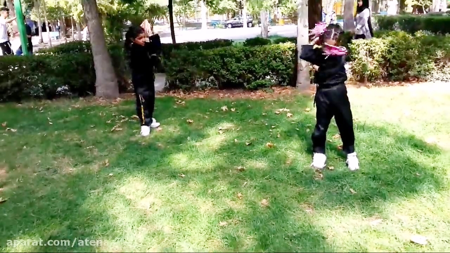 چالش ورزش _نانچیکو بروسلی (ورزش_سلامت_تغذیه)