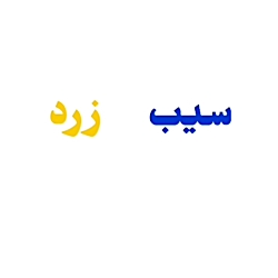 اپِ ربط