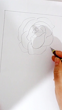 نقاشی گل رز