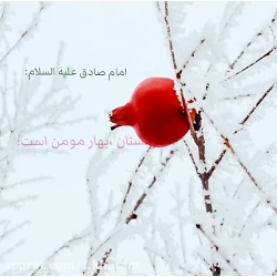 کلام بزرگان
