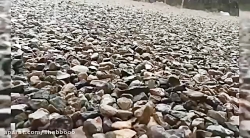 بزن بارون نم نم || استوری بارا...