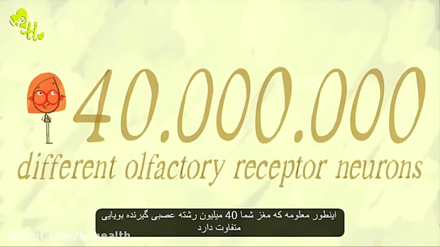 چگونگی عملکرد حس بویایی جراحی گوش