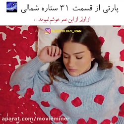 ستاره شمالی