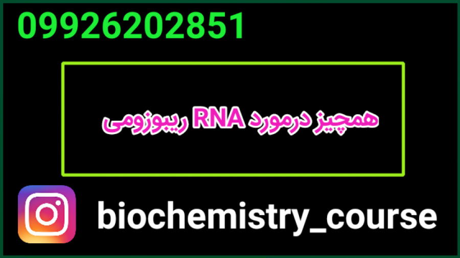 RNA ریبوزومی | rRNA | زیر واحد های ریبوزومی | ریبوزوم بلیچینگ