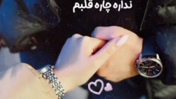 کلیپ عاشقانه شاد/به تودچاره قلبم نداره چاره قلبم