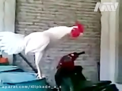 طنز