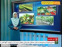 صادرات 170 میلیون دلاری محصولا...