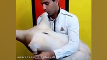 آموزش باد کردن پوست و نواختن نی انبان لیزر فرکشنال