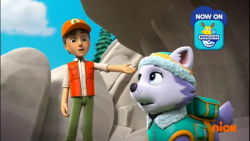 سگ نگهبان | انیمیشن سگ های نگه...