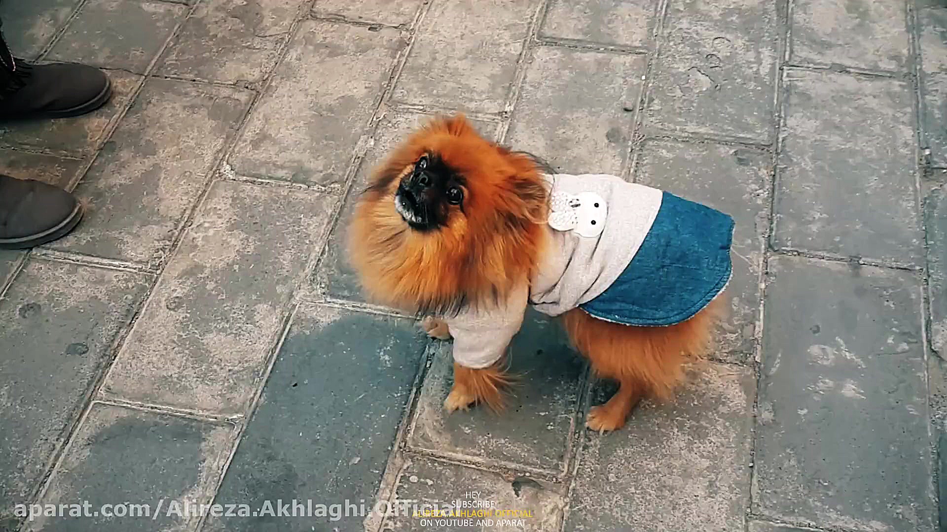 پوستر بزرگ