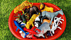 آموزش حیوانات کودکان  حیوانات...