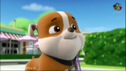 سگ نگهبان | انیمیشن سگ های نگه...