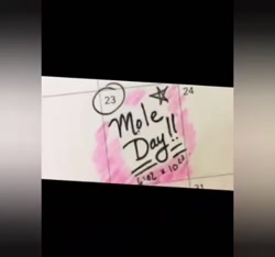 روز مول ایرانی سمیه باقری