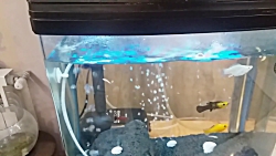 معرفی کانال دنیای آریا