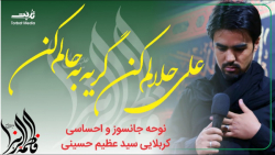 نوحه افغانی فاطمیه  علی حلالم...