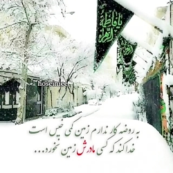 صابر خراسانی؛ استوری شهادت حضرت زهرا سلام الله علیها