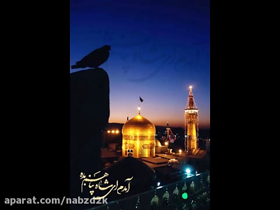 كلیپ امام رضا(ع) به همراه آهنگ...