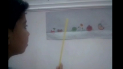 سرگذشت دانه