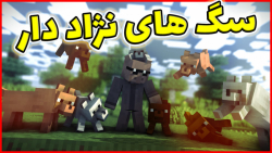 ماینکرفت اما سگ های نژاد دار د...