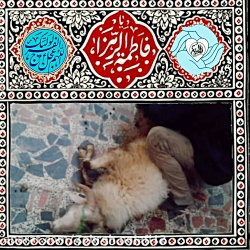 گروه جهادی بانو حضرت ام البنین علیها سلام