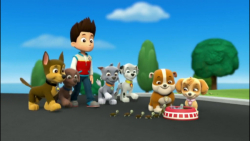 | سگ نگهبان | انیمیشن سگ های ن...