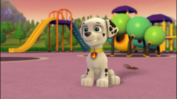 | سگ نگهبان | انیمیشن سگ های ن...