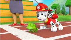 | سگ نگهبان | انیمیشن سگ های ن...