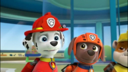 | سگ نگهبان جدید | انیمیشن سگ...