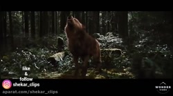 میکس سریال گرگ و میش