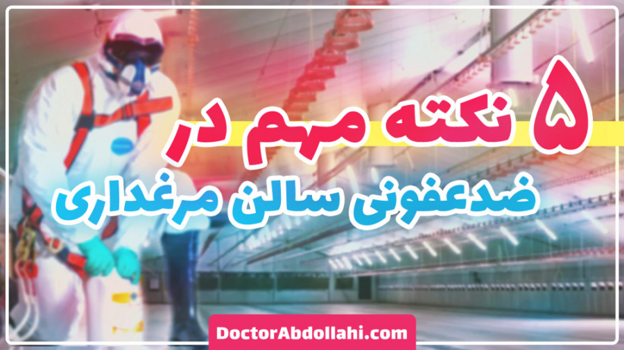 5 نکته مهم در ضدعفونی سالن های مرغداری دکتر محمد مهدی عبدالهی (دامپزشک)