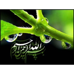 کلیپ مذهبی بسم الله الرحمن الر...