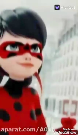 میکس کت نوار و لیدی باگ