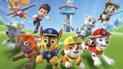 paw patrol cartoons please